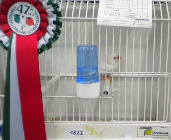 Campionato Italiano Pordenone 2011 (1° class. femmina)