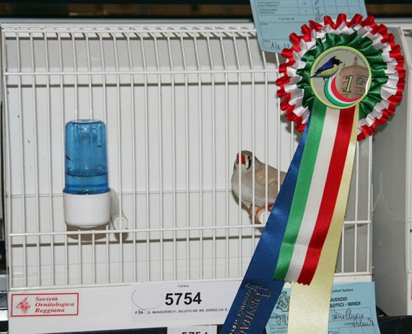 Campionato Italiano Parma 2010 (1° class. femmina)