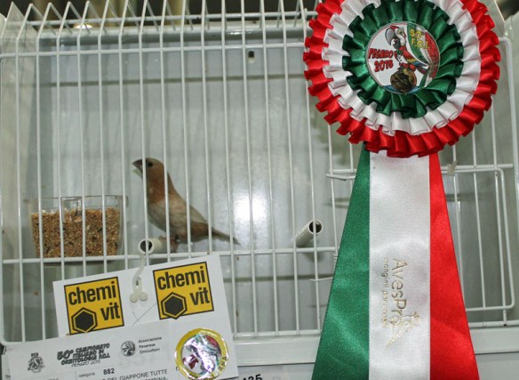 Campionato Italiano Pesaro 2015 (1° class. altre mutazioni)