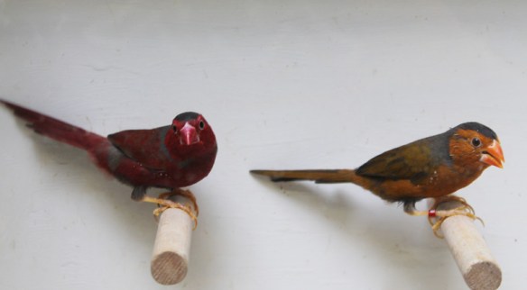 Diamante Fetonte ancestrale e giallo a confronto