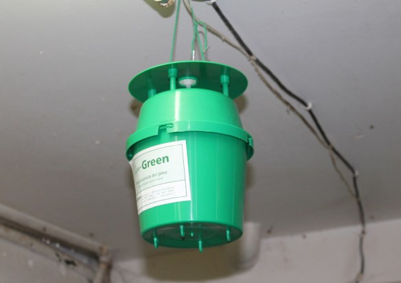 Trappola per farfalle